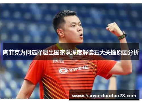 陶菲克为何选择退出国家队深度解读五大关键原因分析