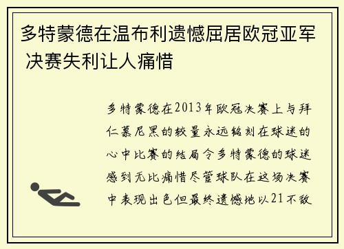 多特蒙德在温布利遗憾屈居欧冠亚军 决赛失利让人痛惜