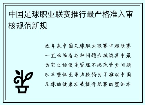 中国足球职业联赛推行最严格准入审核规范新规 中国足球职业联赛推行最严格准入审核规范新规