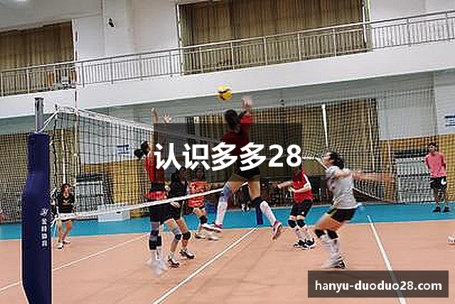 认识多多28